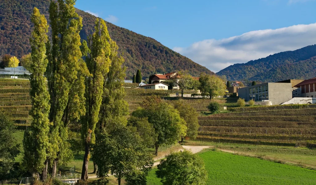 CANTONALE-MEZZANAVIGNETO