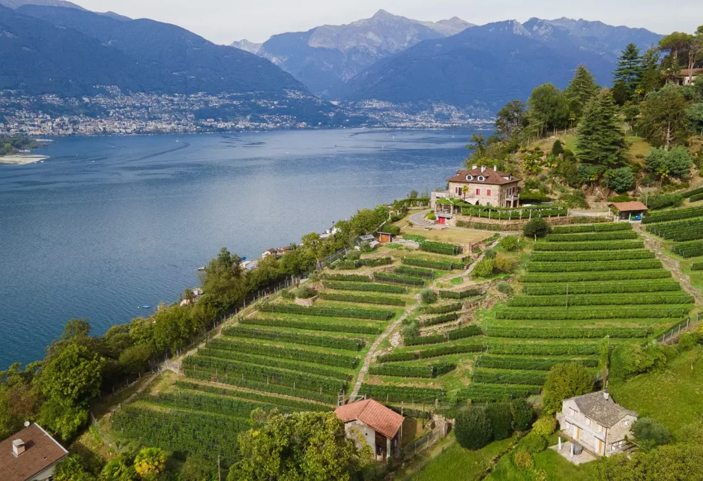 Cantine Stucky-Hügin Vairano