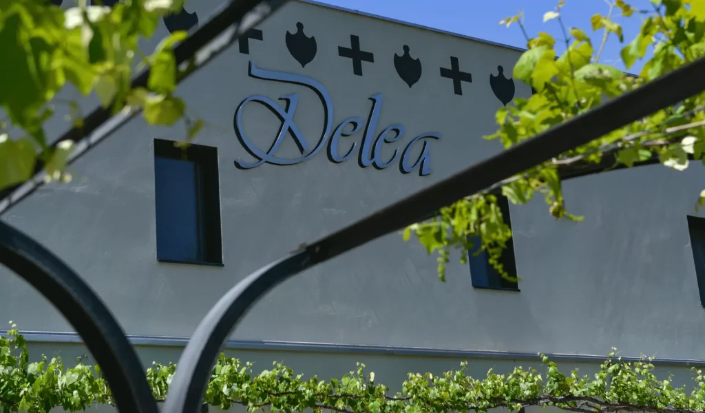 Delea_esterno