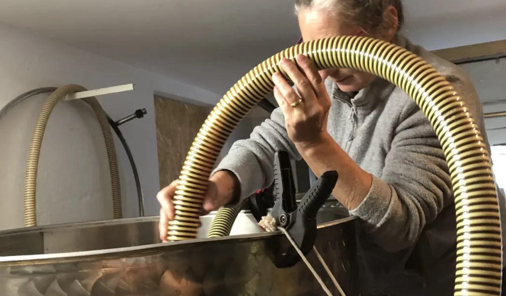 Krebs_esterno 3