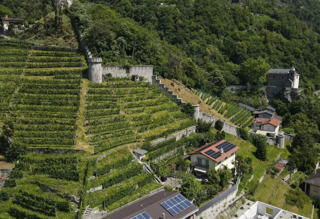 Pizzorin_Giancarlo_Pestoni_0012