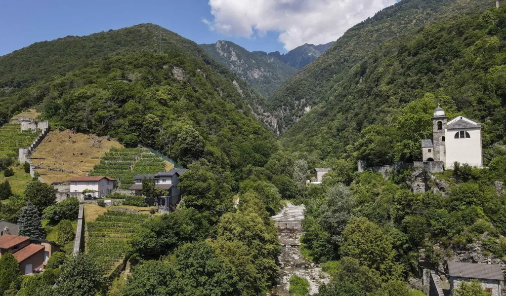Pizzorin_Giancarlo_Pestoni_0032