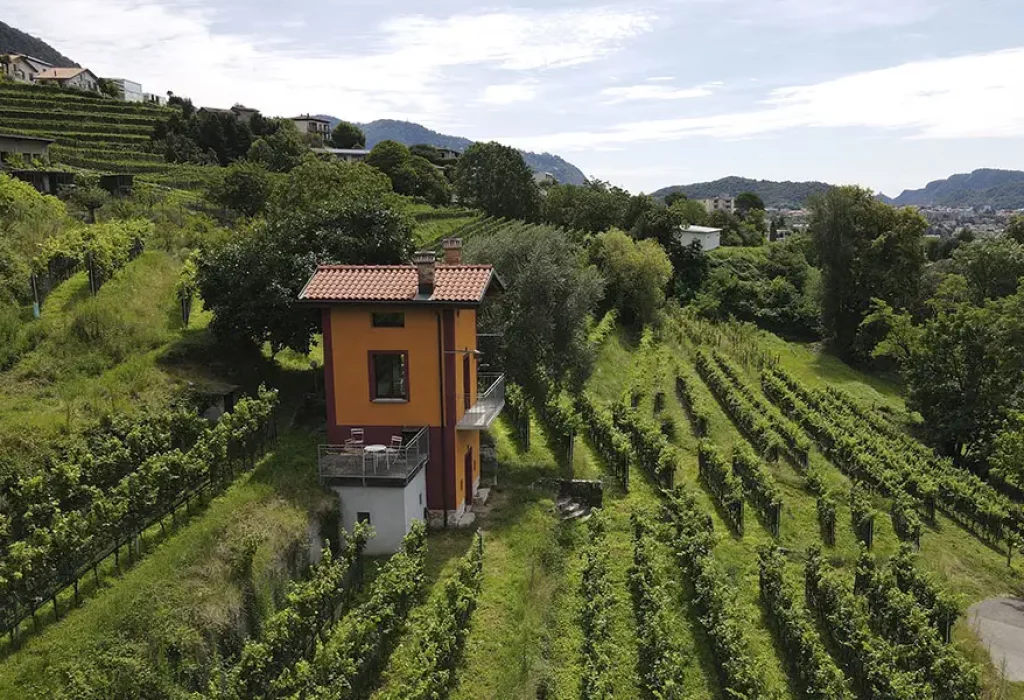Tenuta-cavallini