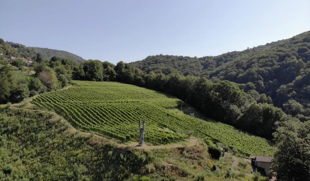 created by dji camera