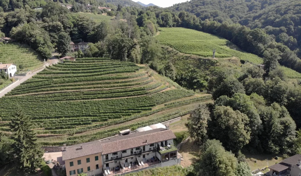 created by dji camera