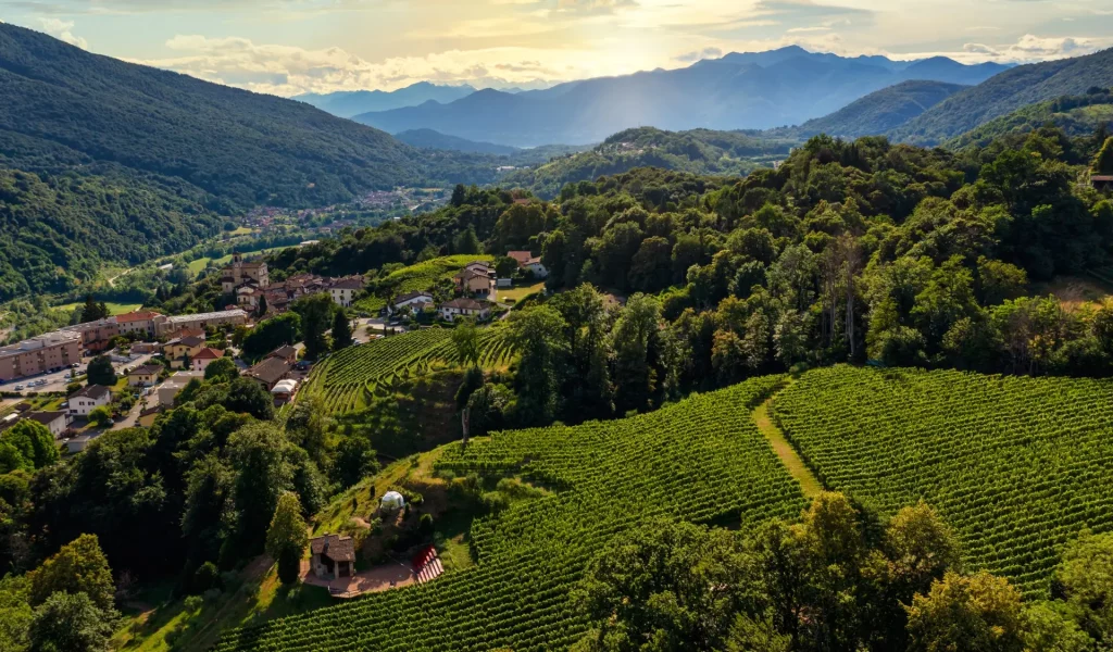 Vallombrosa-WinePod_Vallombrosa1