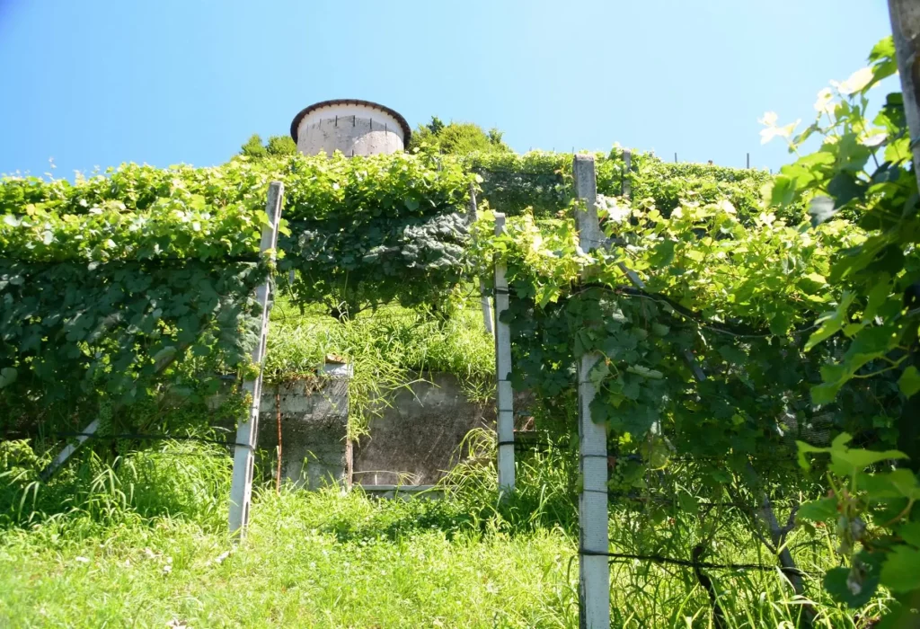 sottotorre